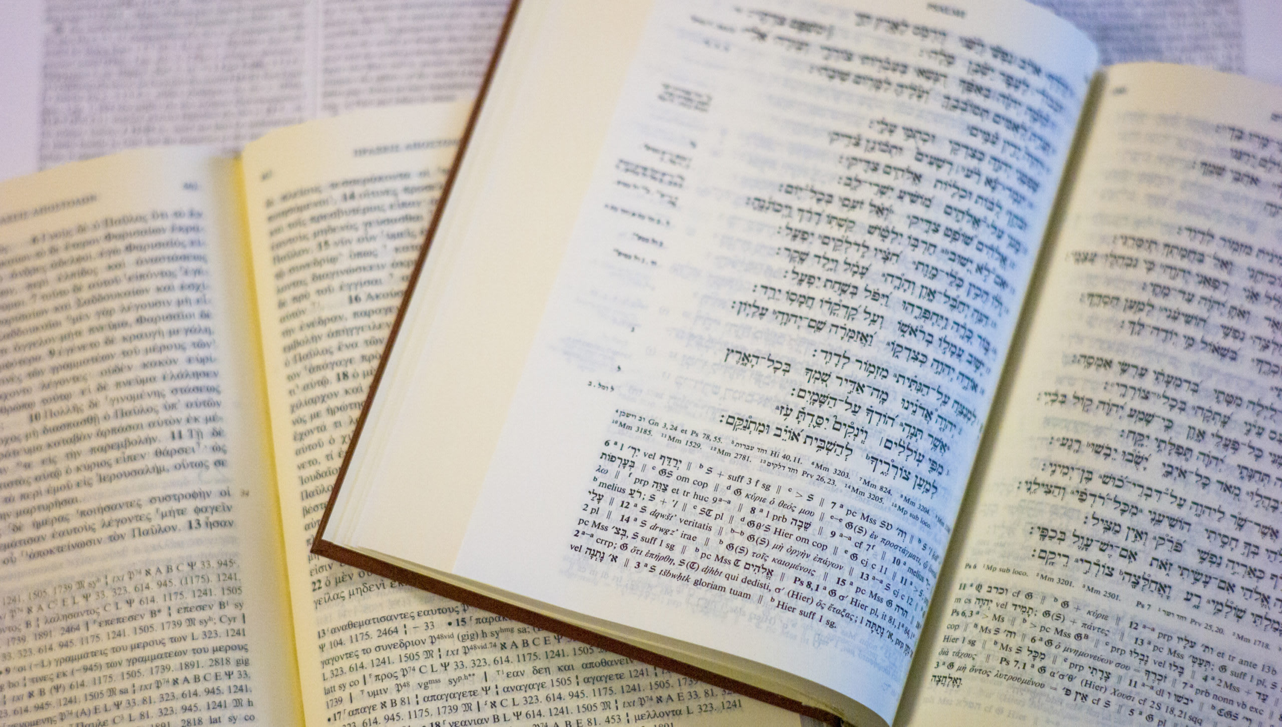 pile of Bibles